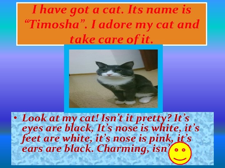 I have got a cat. Its name is “Timosha”. I adore my cat and