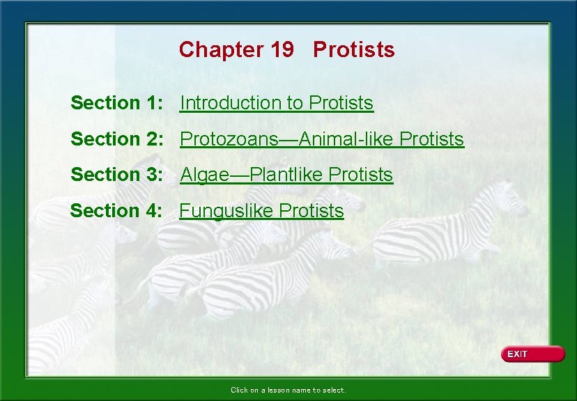 Chapter 19 Protists Section 1: Introduction to Protists Section 2: Protozoans—Animal-like Protists Section 3: