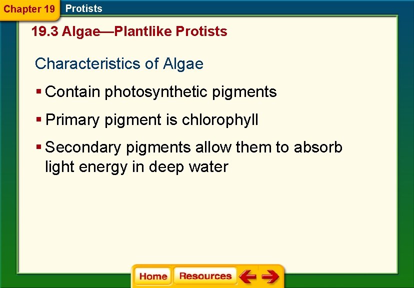 Chapter 19 Protists 19. 3 Algae—Plantlike Protists Characteristics of Algae § Contain photosynthetic pigments