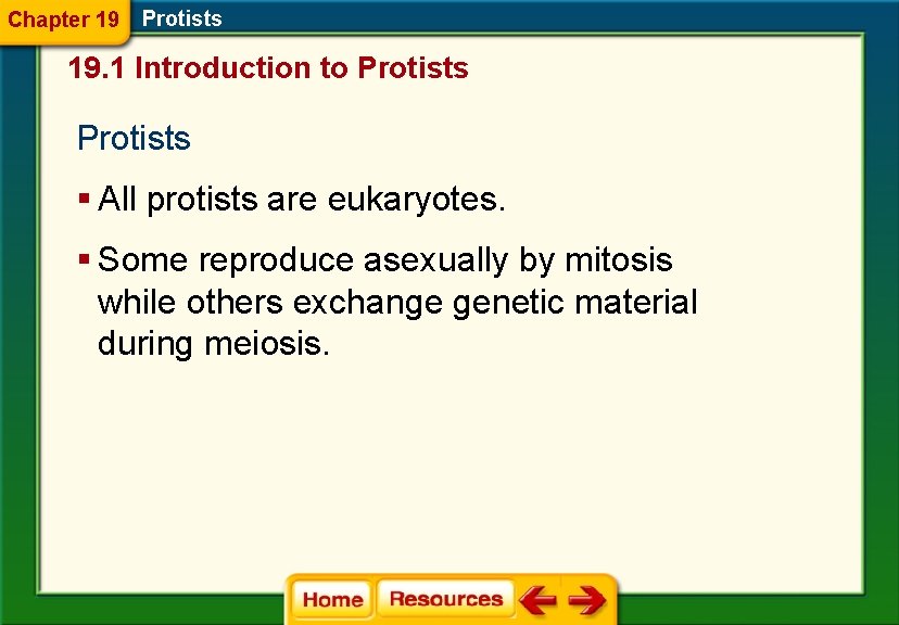 Chapter 19 Protists 19. 1 Introduction to Protists § All protists are eukaryotes. §