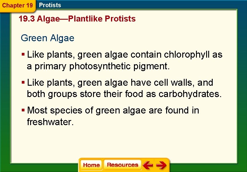 Chapter 19 Protists 19. 3 Algae—Plantlike Protists Green Algae § Like plants, green algae