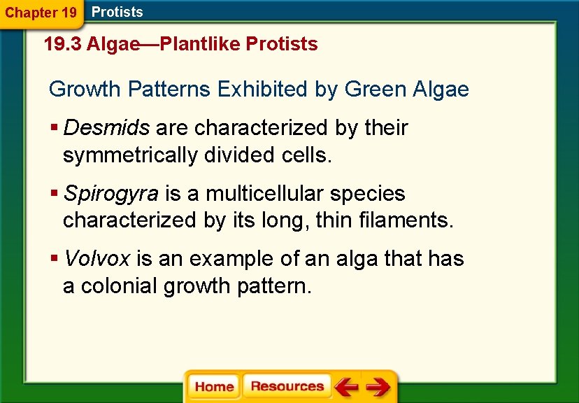 Chapter 19 Protists 19. 3 Algae—Plantlike Protists Growth Patterns Exhibited by Green Algae §