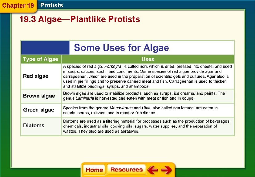 Chapter 19 Protists 19. 3 Algae—Plantlike Protists 