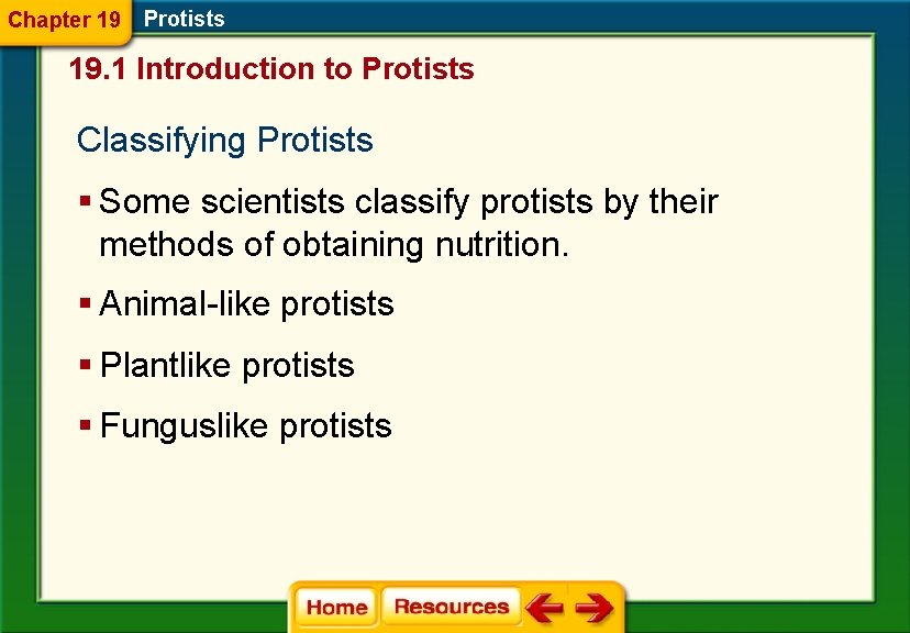 Chapter 19 Protists 19. 1 Introduction to Protists Classifying Protists § Some scientists classify