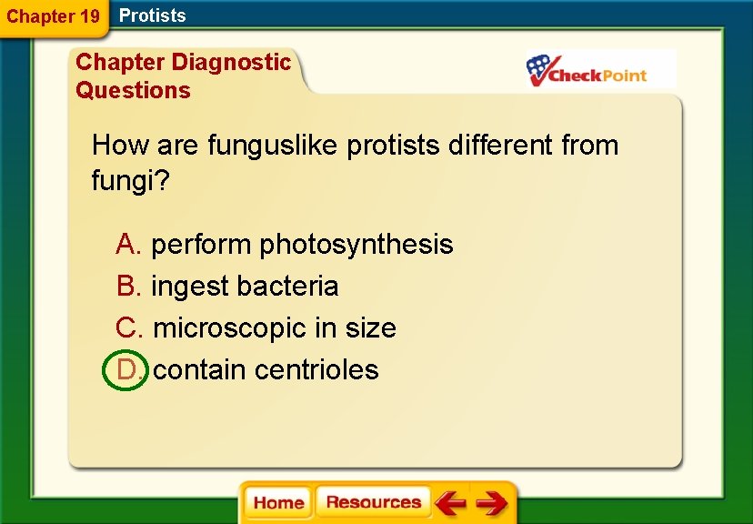 Chapter 19 Protists Chapter Diagnostic Questions How are funguslike protists different from fungi? A.