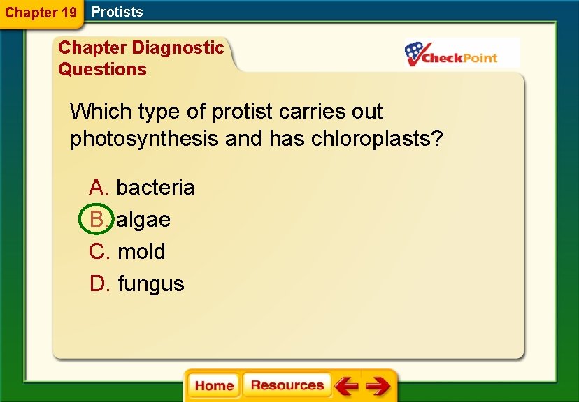 Chapter 19 Protists Chapter Diagnostic Questions Which type of protist carries out photosynthesis and