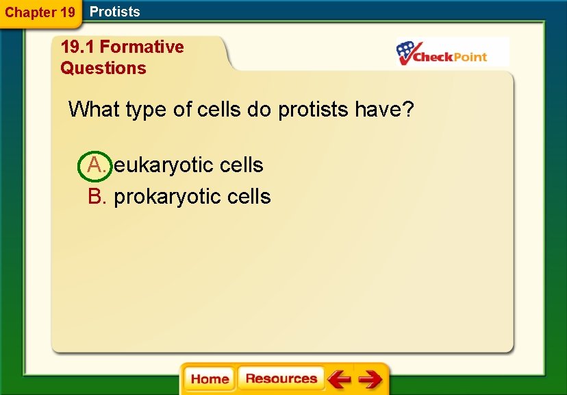 Chapter 19 Protists 19. 1 Formative Questions What type of cells do protists have?