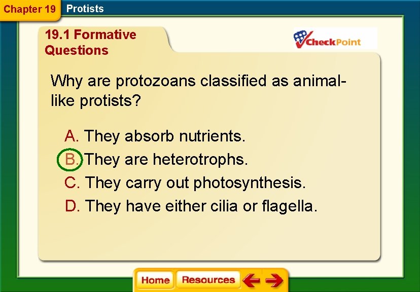 Chapter 19 Protists 19. 1 Formative Questions Why are protozoans classified as animallike protists?