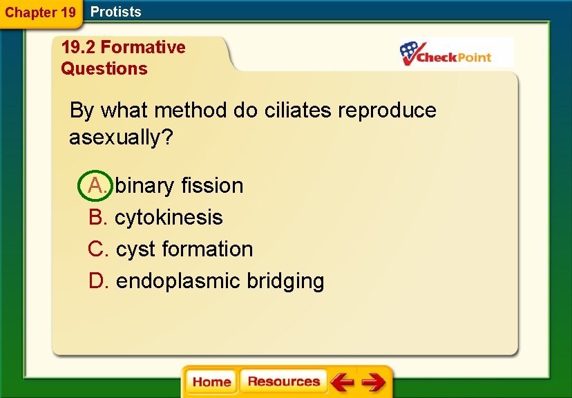 Chapter 19 Protists 19. 2 Formative Questions By what method do ciliates reproduce asexually?