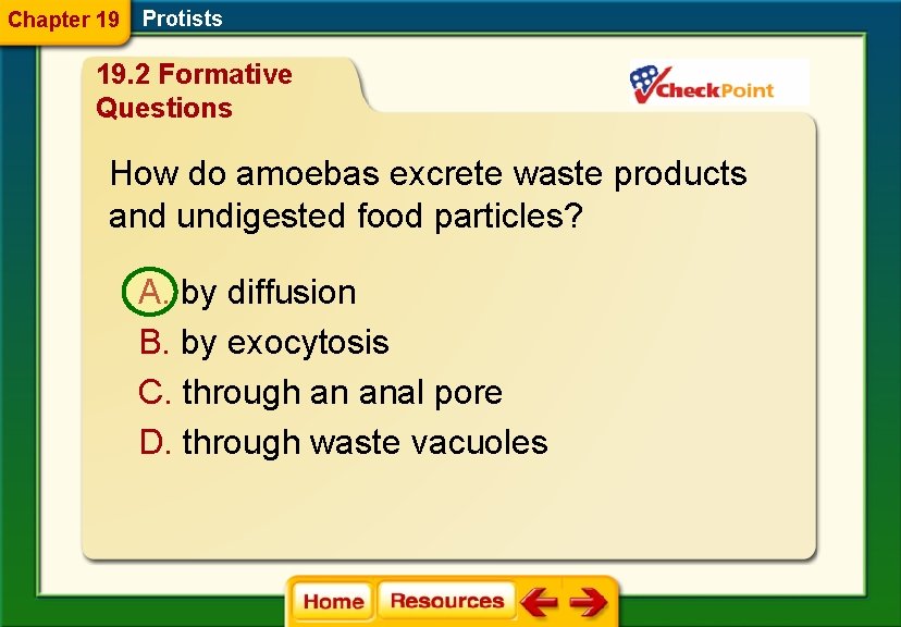 Chapter 19 Protists 19. 2 Formative Questions How do amoebas excrete waste products and