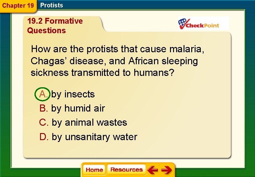 Chapter 19 Protists 19. 2 Formative Questions How are the protists that cause malaria,