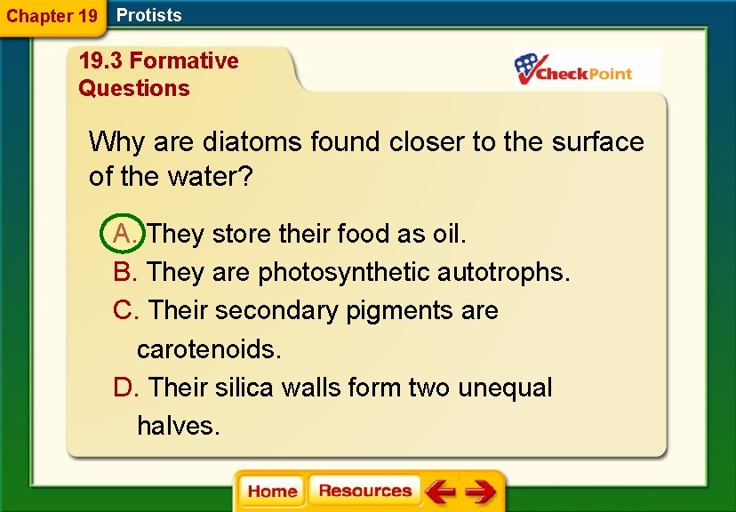 Chapter 19 Protists 19. 3 Formative Questions Why are diatoms found closer to the