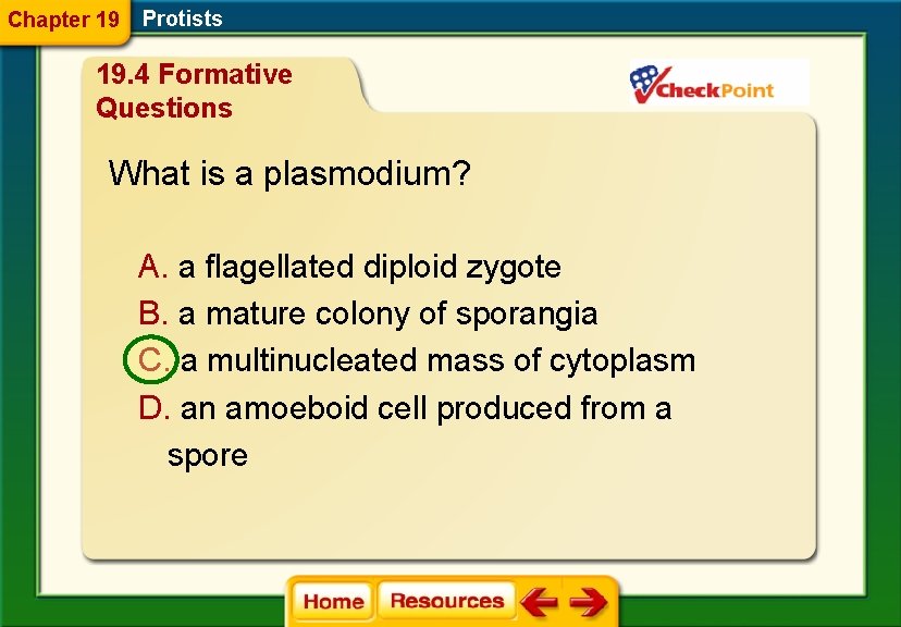 Chapter 19 Protists 19. 4 Formative Questions What is a plasmodium? A. a flagellated