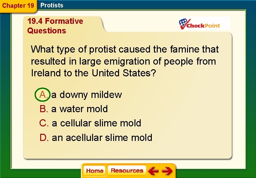 Chapter 19 Protists 19. 4 Formative Questions What type of protist caused the famine