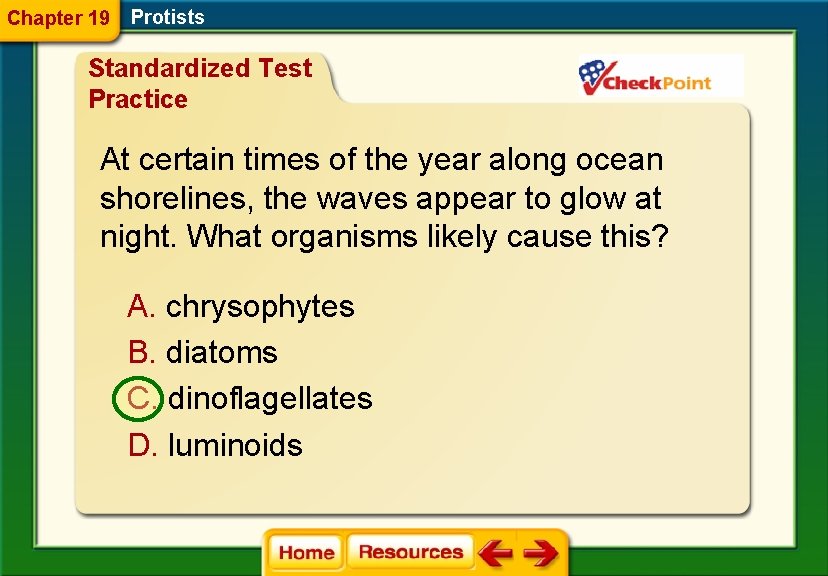 Chapter 19 Protists Standardized Test Practice At certain times of the year along ocean