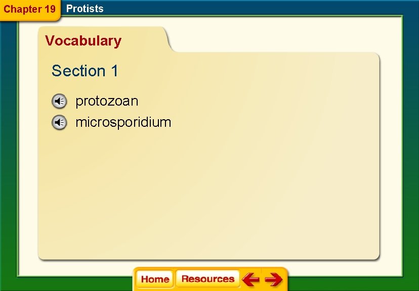 Chapter 19 Protists Vocabulary Section 1 protozoan microsporidium 