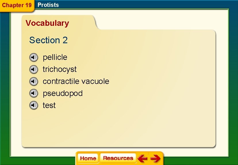 Chapter 19 Protists Vocabulary Section 2 pellicle trichocyst contractile vacuole pseudopod test 