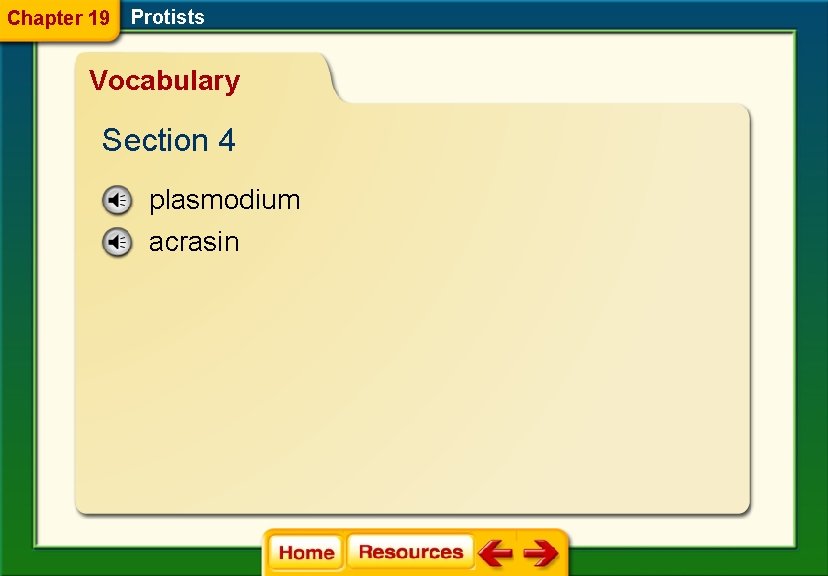 Chapter 19 Protists Vocabulary Section 4 plasmodium acrasin 