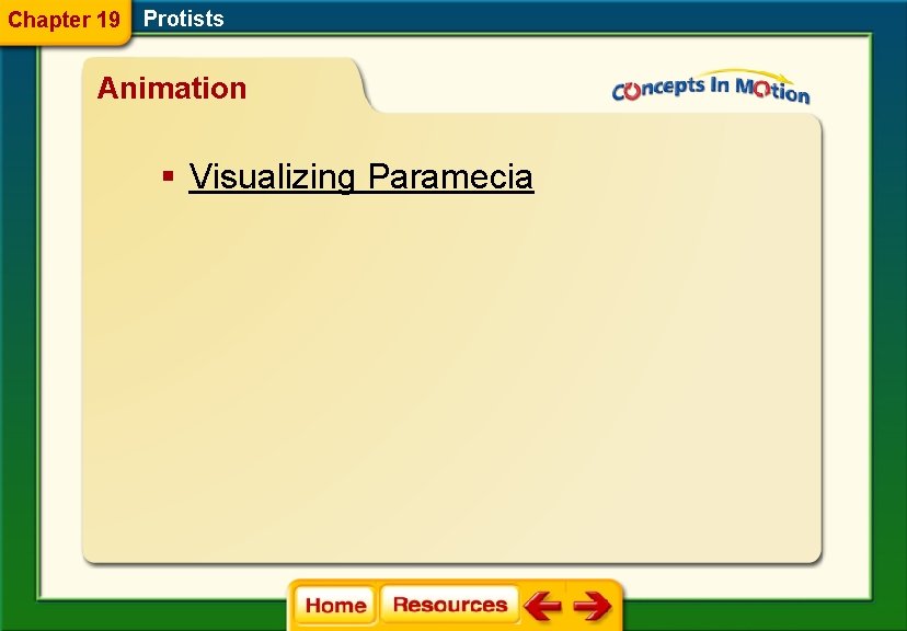Chapter 19 Protists Animation § Visualizing Paramecia 