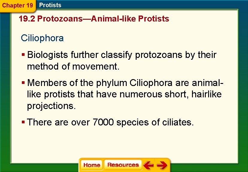 Chapter 19 Protists 19. 2 Protozoans—Animal-like Protists Ciliophora § Biologists further classify protozoans by