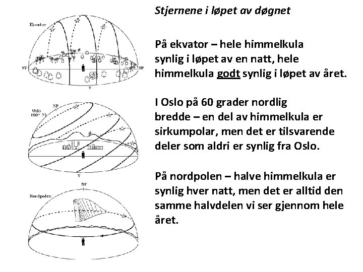 Stjernene i løpet av døgnet På ekvator – hele himmelkula synlig i løpet av