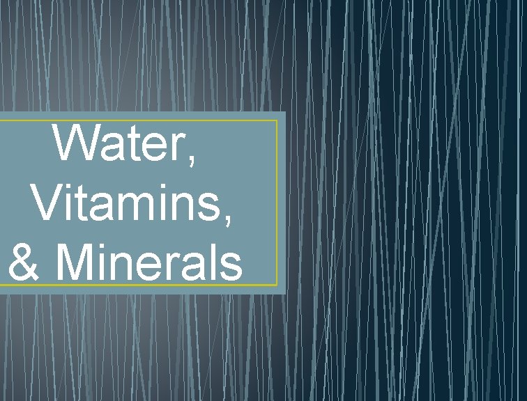 Water, Vitamins, & Minerals 