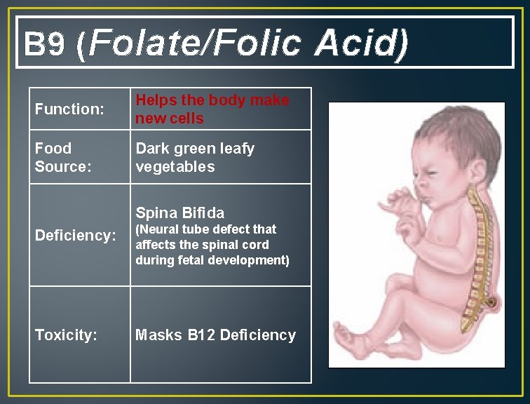 B 9 (Folate/Folic Acid) Function: Helps the body make new cells Food Source: Dark