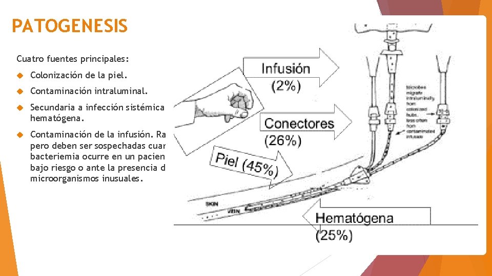 PATOGENESIS Cuatro fuentes principales: Colonización de la piel. Contaminación intraluminal. Secundaria a infección sistémica