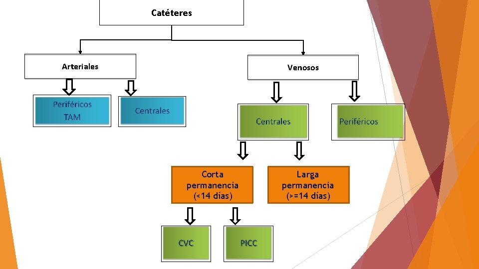 Catéteres Arteriales Venosos Corta permanencia (<14 días) Larga permanencia (>=14 días) 