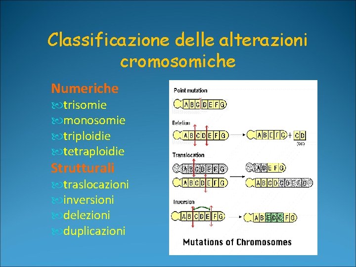 Classificazione delle alterazioni cromosomiche Numeriche trisomie monosomie triploidie tetraploidie Strutturali traslocazioni inversioni delezioni duplicazioni Classificazione delle alterazioni cromosomiche Numeriche trisomie monosomie triploidie tetraploidie Strutturali traslocazioni inversioni delezioni duplicazioni