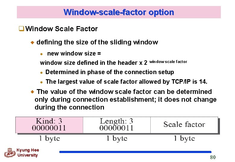 Window-scale-factor option q. Window Scale Factor defining the size of the sliding window l