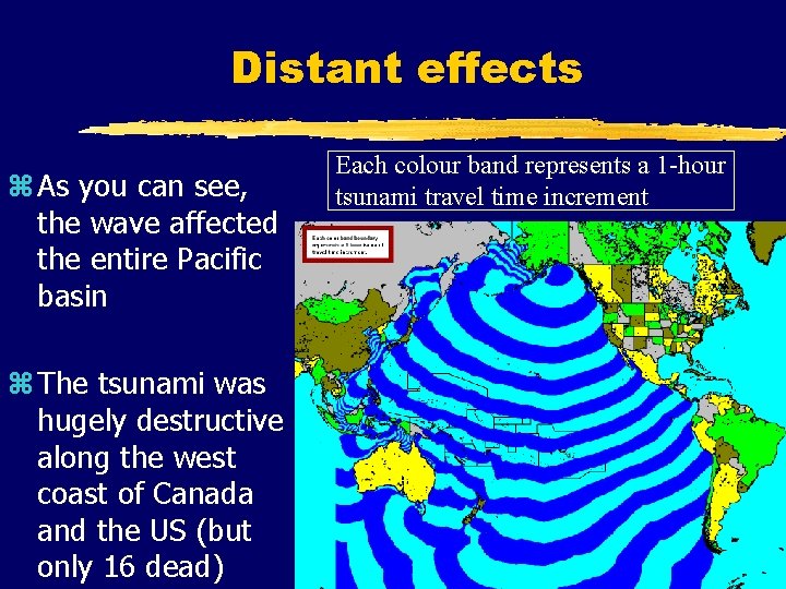 Distant effects z As you can see, the wave affected the entire Pacific basin