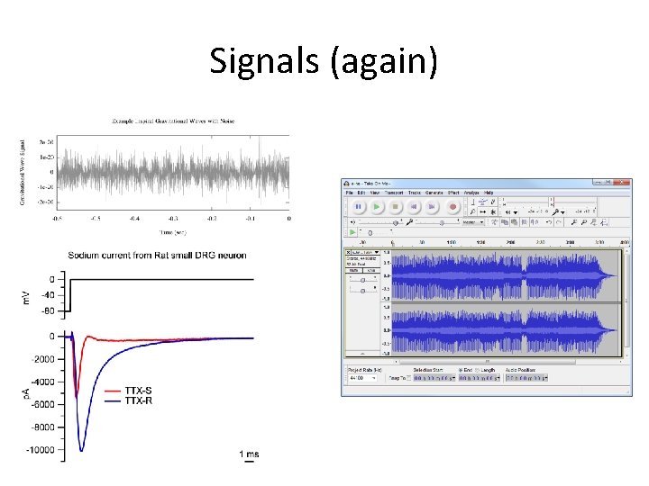 Signals (again) 