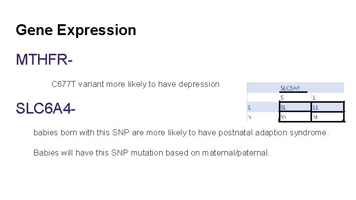 Gene Expression MTHFRC 677 T variant more likely to have depression SLC 6 A