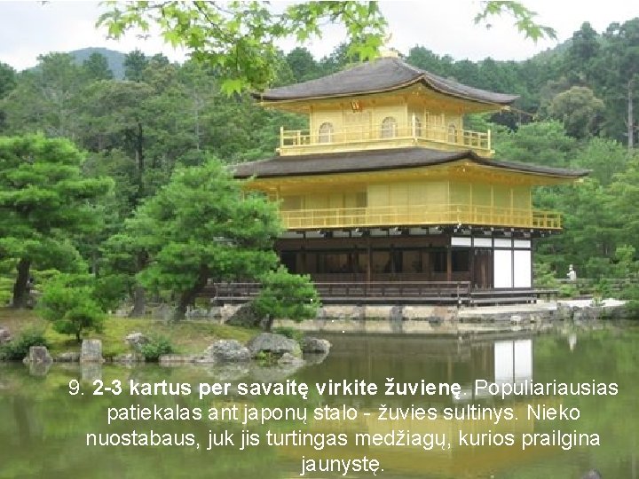. . . 9. 2 -3 kartus per savaitę virkite žuvienę. Populiariausias patiekalas ant