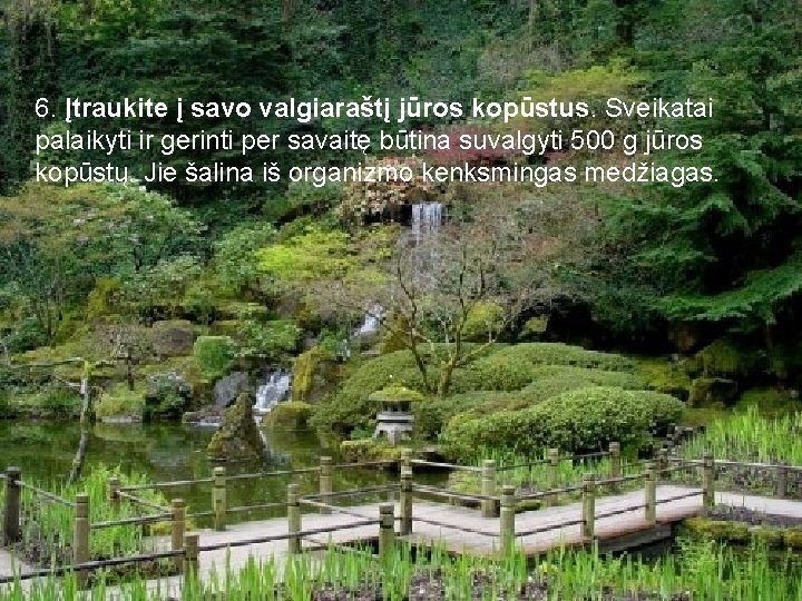 6. Įtraukite į savo valgiaraštį jūros kopūstus. Sveikatai palaikyti ir gerinti per savaitę būtina