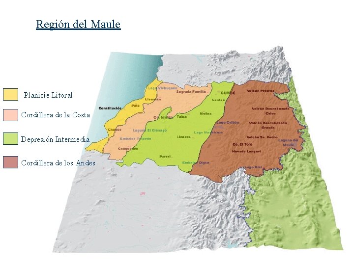 Región del Maule Planicie Litoral Cordillera de la Costa Depresión Intermedia Cordillera de los