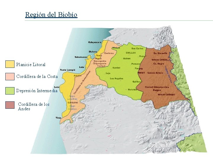Región del Biobío Planicie Litoral Cordillera de la Costa Depresión Intermedia Cordillera de los