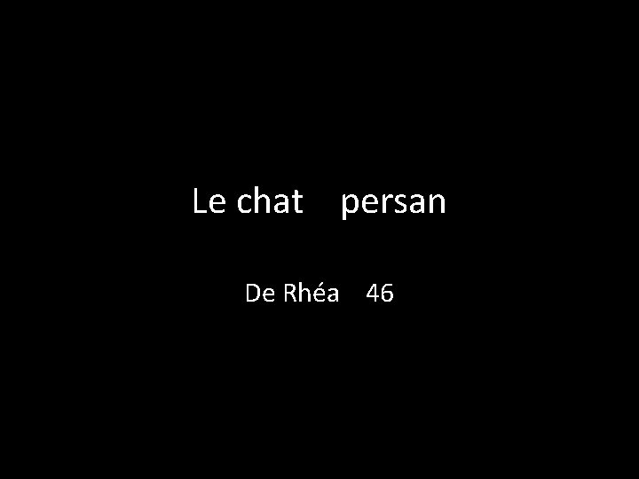 Le chat persan De Rhéa 46 