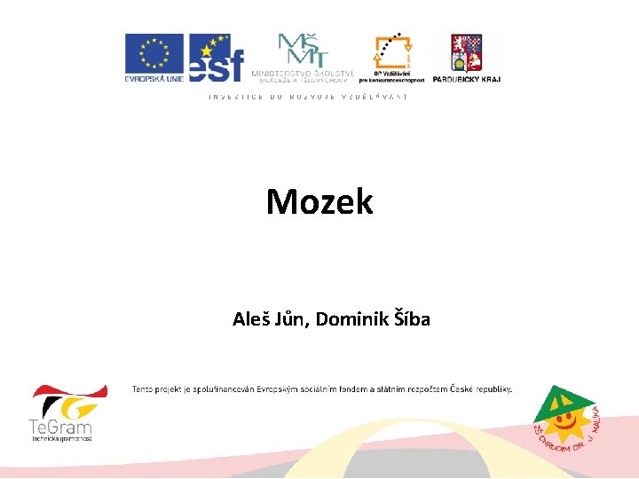 Mozek Aleš Jůn, Dominik Šíba 