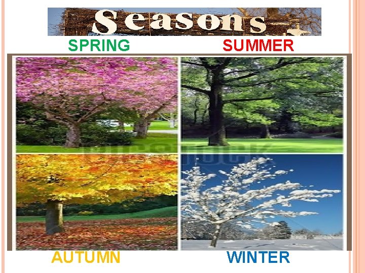 SPRING AUTUMN SUMMER WINTER 
