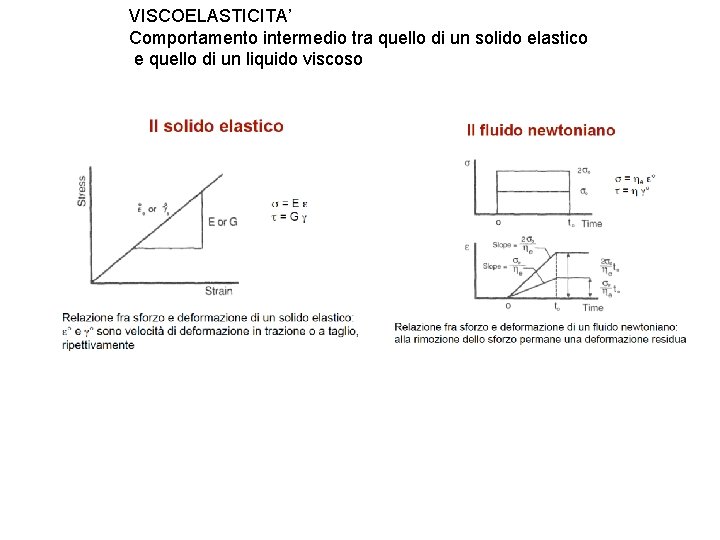 VISCOELASTICITA’ Comportamento intermedio tra quello di un solido elastico e quello di un liquido