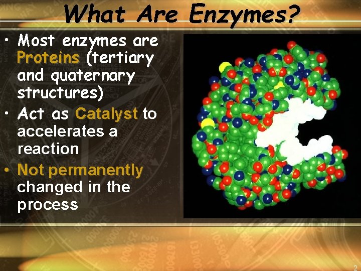 What Are Enzymes? • Most enzymes are Proteins (tertiary and quaternary structures) • Act