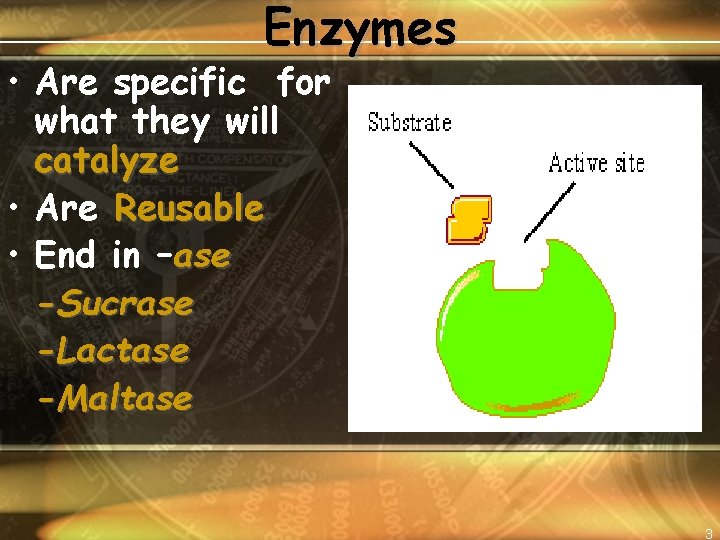 Enzymes • Are specific for what they will catalyze • Are Reusable • End