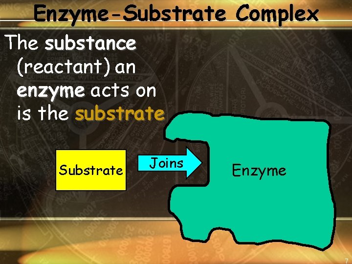 Enzyme-Substrate Complex The substance (reactant) an enzyme acts on is the substrate Substrate Joins