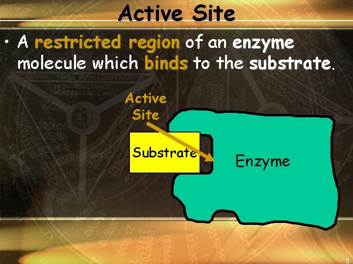 Active Site • A restricted region of an enzyme molecule which binds to the