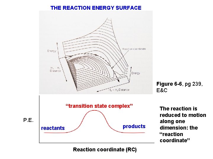 THE REACTION ENERGY SURFACE Figure 6 -6, pg 239, E&C “transition state complex” P.