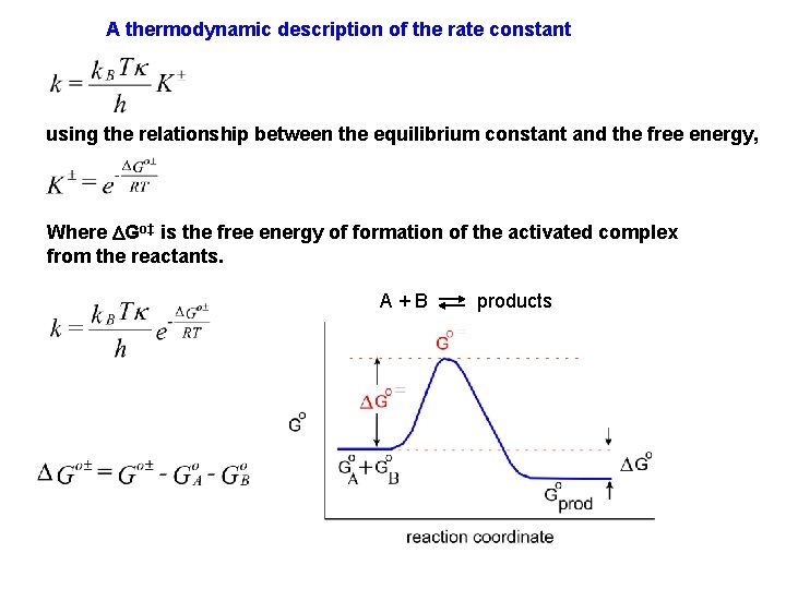 A thermodynamic description of the rate constant using the relationship between the equilibrium constant