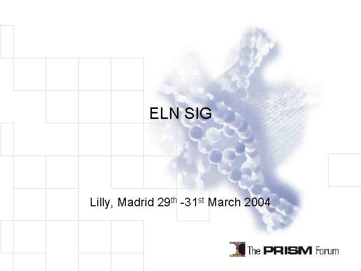 ELN SIG Lilly, Madrid 29 th -31 st March 2004 