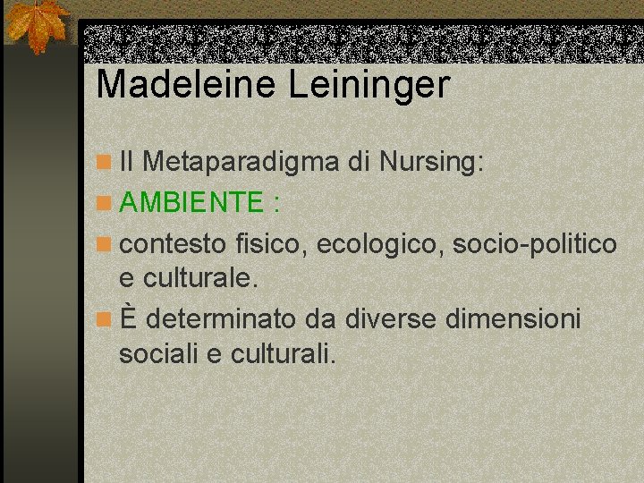 Madeleine Leininger n Il Metaparadigma di Nursing: n AMBIENTE : n contesto fisico, ecologico,